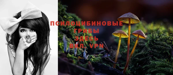 ALPHA-PVP Алексин