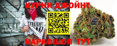сатива Нарткала