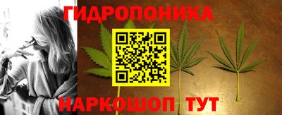 сатива Нарткала
