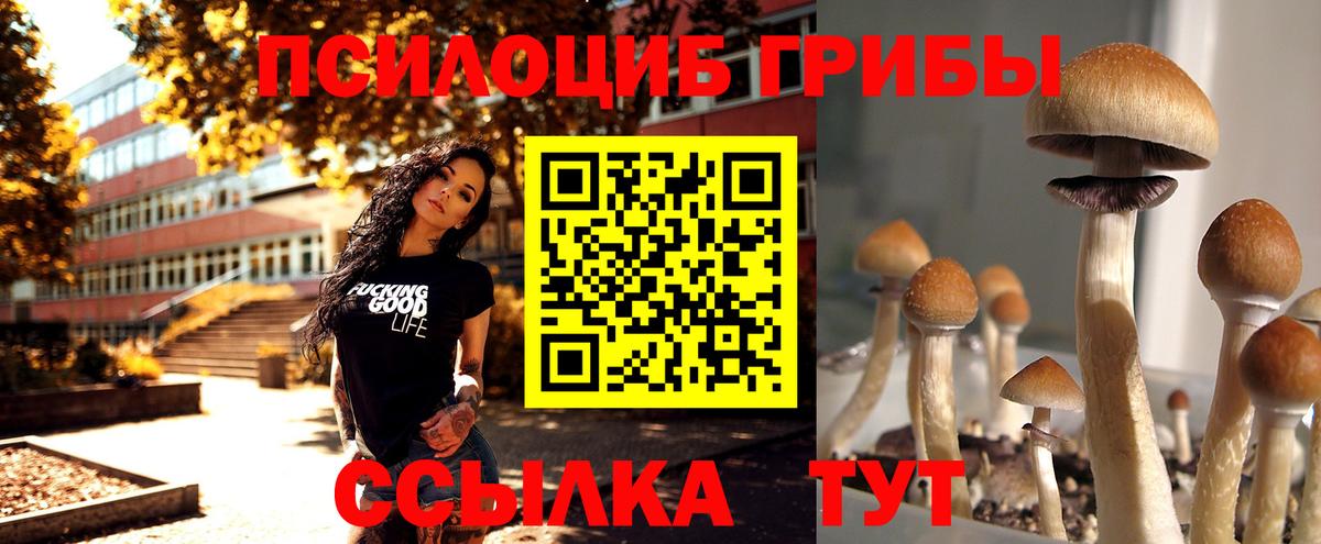 Псилоцибиновые грибы Magic Shrooms  Галлюциногенные грибы MAGIC MUSHROOMS  Чернушка  Вход с VPN 